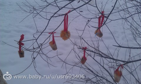 Фруктовые льдинки.