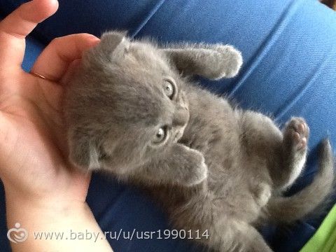 Порадуйтесь!