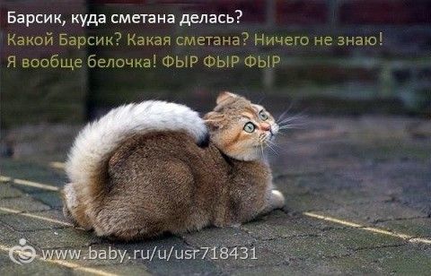 Немного улыбок