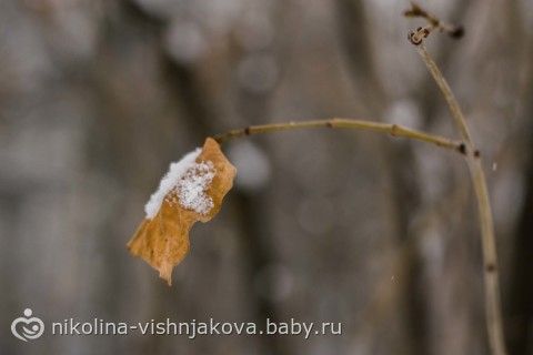 Зимушка-Зима