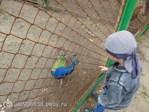 Полесье