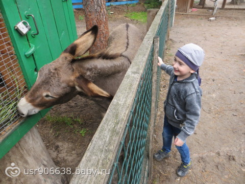 Полесье