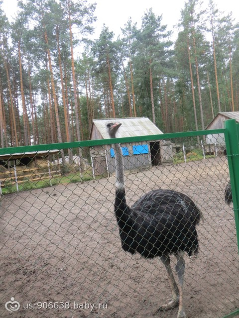 Полесье