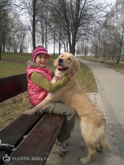 Идеальная собака для детей