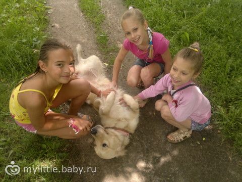 Идеальная собака для детей