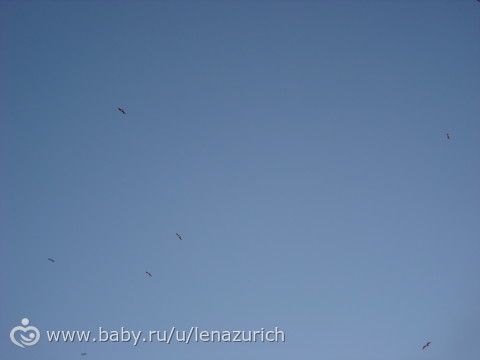 Наше путешествие с ребёнком (8-13 недель)