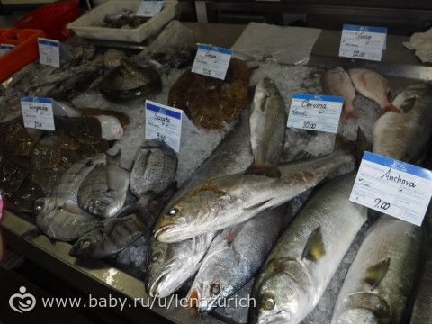 Наше путешествие с ребёнком (11 месяцев)