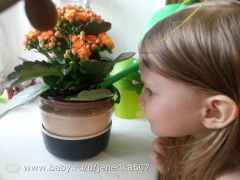 Наши новости, первый прикорм, ножки в рот и т.д.:)