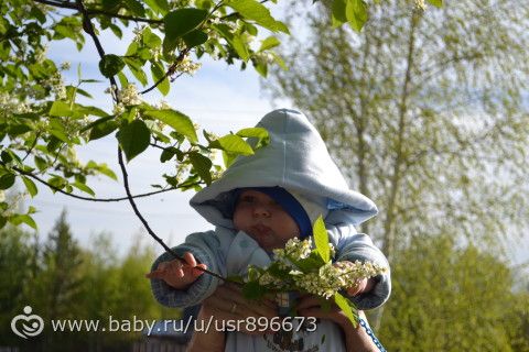 Мои итоги года.