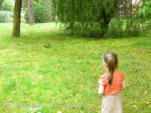 Наш отдых Сочи-Адлер, Абхазия 2015 =) (первая часть, приезд и первые дни)
