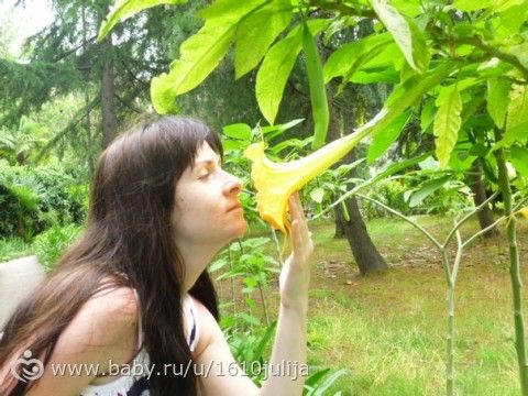 Наш отдых Сочи-Адлер, Абхазия 2015 =) (первая часть, приезд и первые дни)