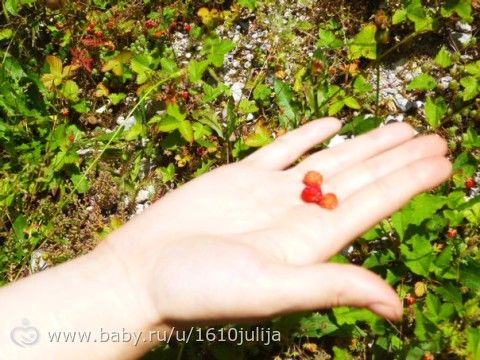 Наш отдых Сочи-Адлер, Абхазия 2015 =) (третья часть, немного повседневного, пляжа и Абхазия)