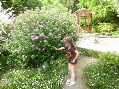 Наш отдых Сочи-Адлер, Абхазия 2015 =) (четрвертая часть, дендрарий, океанариум, повторная поездка в &quot;Галактику&quot;)