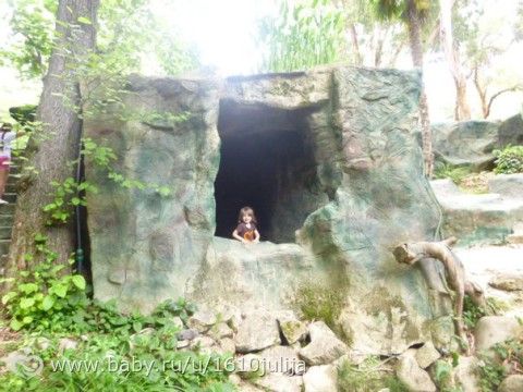 Наш отдых Сочи-Адлер, Абхазия 2015 =) (четрвертая часть, дендрарий, океанариум, повторная поездка в &quot;Галактику&quot;)