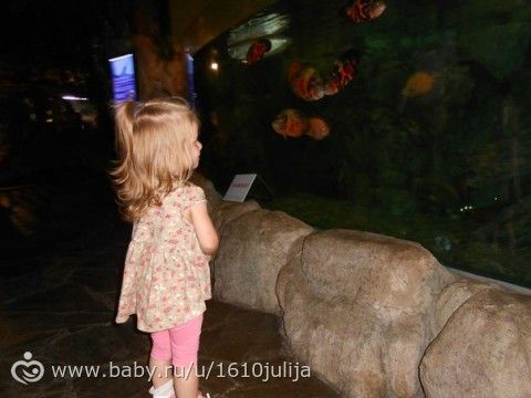 Наш отдых Сочи-Адлер, Абхазия 2015 =) (четрвертая часть, дендрарий, океанариум, повторная поездка в &quot;Галактику&quot;)