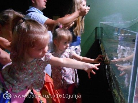 Наш отдых Сочи-Адлер, Абхазия 2015 =) (четрвертая часть, дендрарий, океанариум, повторная поездка в &quot;Галактику&quot;)