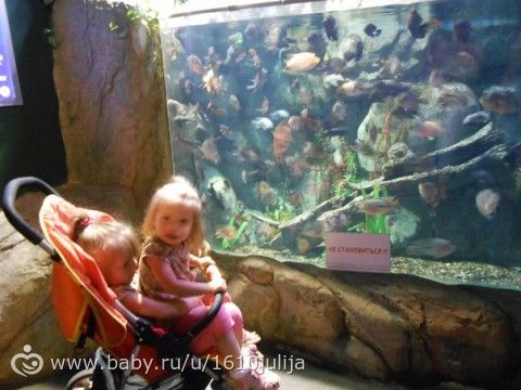 Наш отдых Сочи-Адлер, Абхазия 2015 =) (четрвертая часть, дендрарий, океанариум, повторная поездка в &quot;Галактику&quot;)