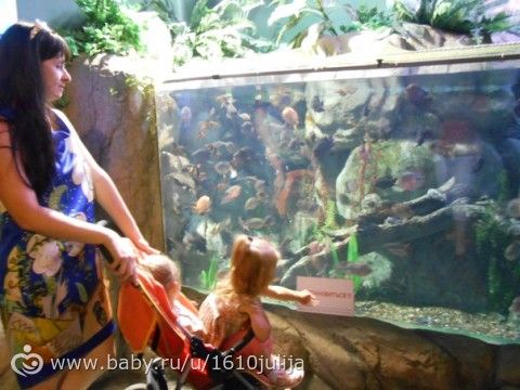 Наш отдых Сочи-Адлер, Абхазия 2015 =) (четрвертая часть, дендрарий, океанариум, повторная поездка в &quot;Галактику&quot;)