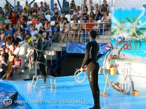 Наш отдых Сочи-Адлер, Абхазия 2015 =) (пятая часть, олимпийский парк, сочи парк, музыкальный фонтан)