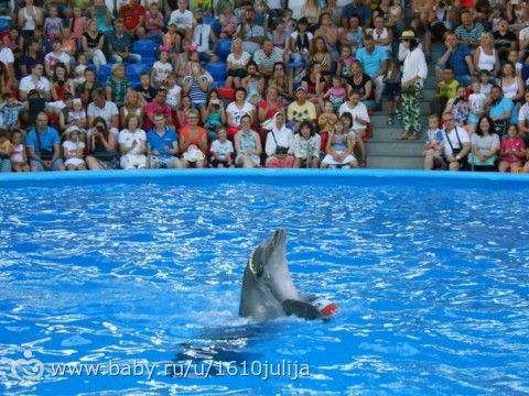 Наш отдых Сочи-Адлер, Абхазия 2015 =) (пятая часть, олимпийский парк, сочи парк, музыкальный фонтан)