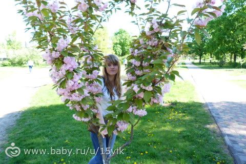 Просто фото...моменты нашей весны 2015