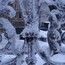 Алёнка Алёнка