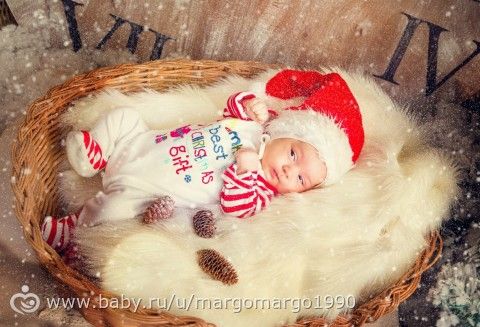 Новогодний Фотосет )