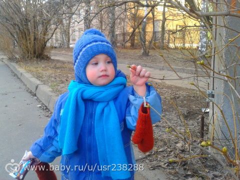 Почки на деревьях