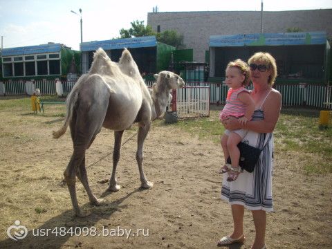 сходили в зоопарк...