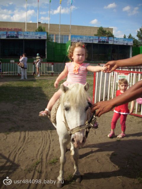 сходили в зоопарк...