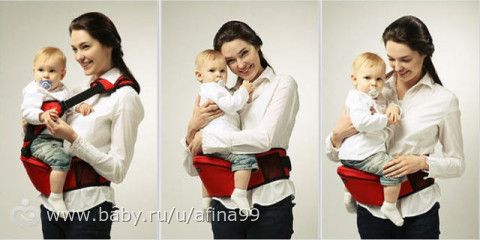 Отдам хипсит