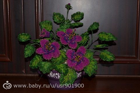 Гибискус))