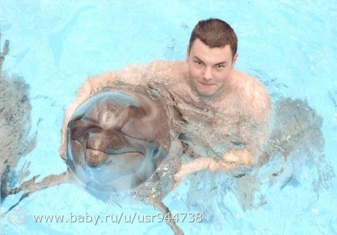 дельфинарий Немо