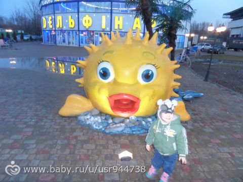 дельфинарий Немо