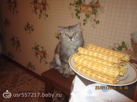 подругам!