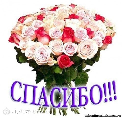 Отчетность