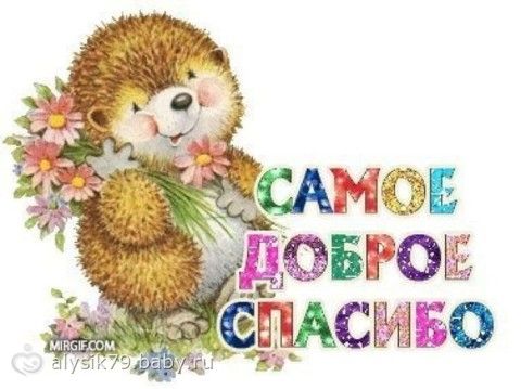 Отчетность