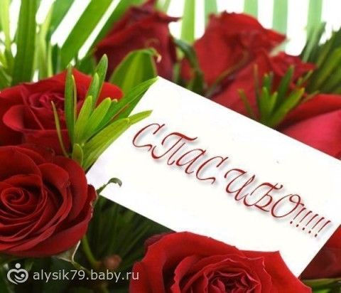 Отчетность
