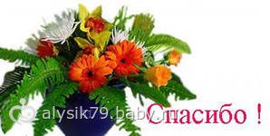 Отчетность