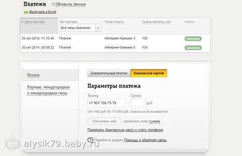 Отчетность