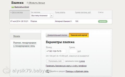 Отчетность