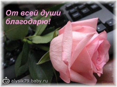 Отчетность