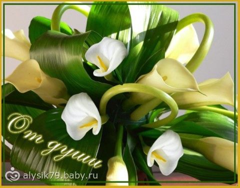 Отчетность