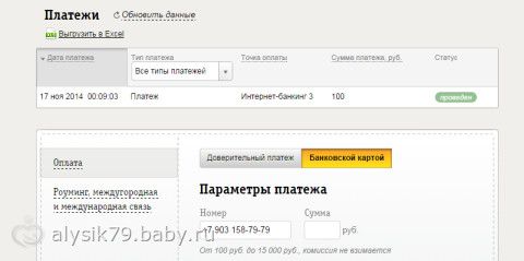 Отчетность