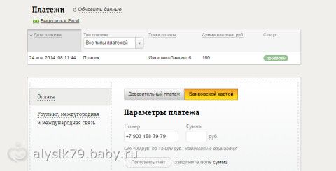 Отчетность