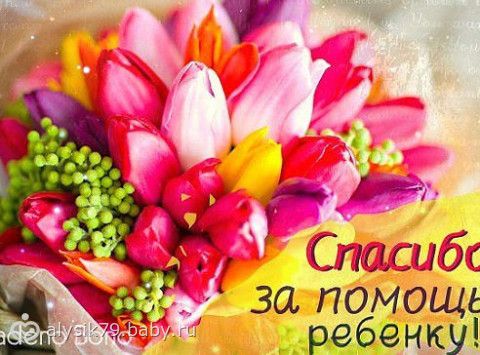 Отчетность