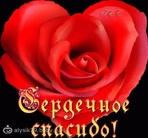 Отчетность