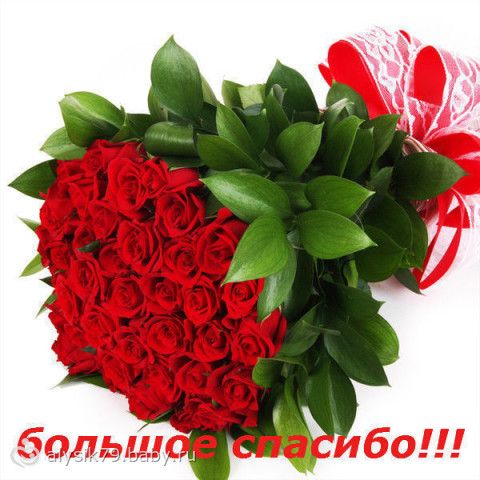 Отчетность