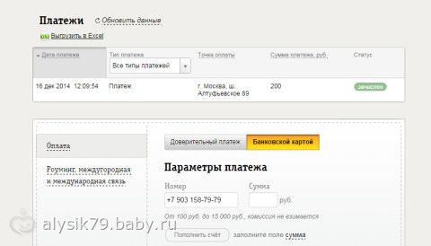 Отчетность