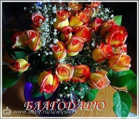 Отчетность